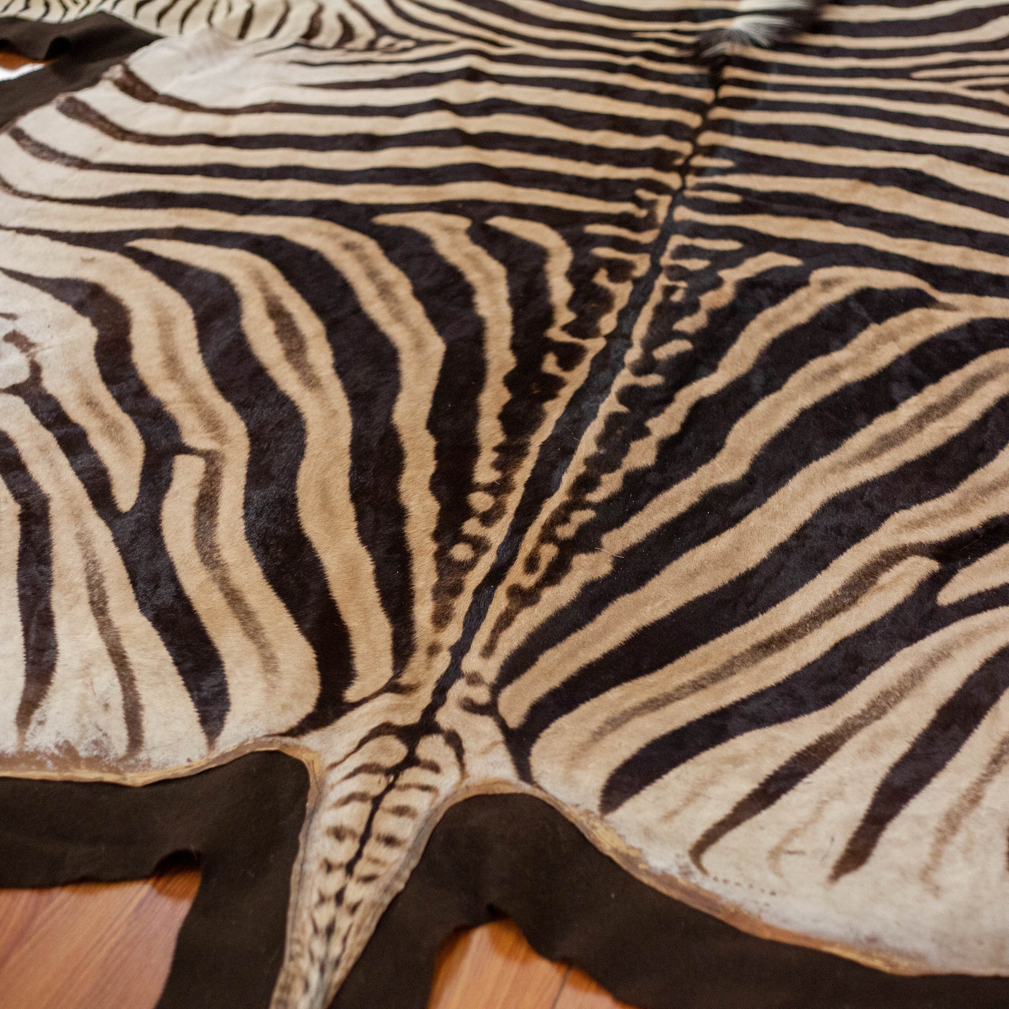 Zebra Africa Print Cowhide Rug